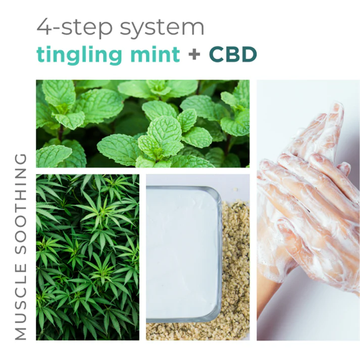 4-step-system-tingling-mint