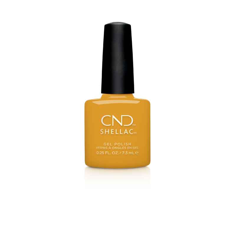 428784_CND-SH-AMONG-THE-MARIGOLDS