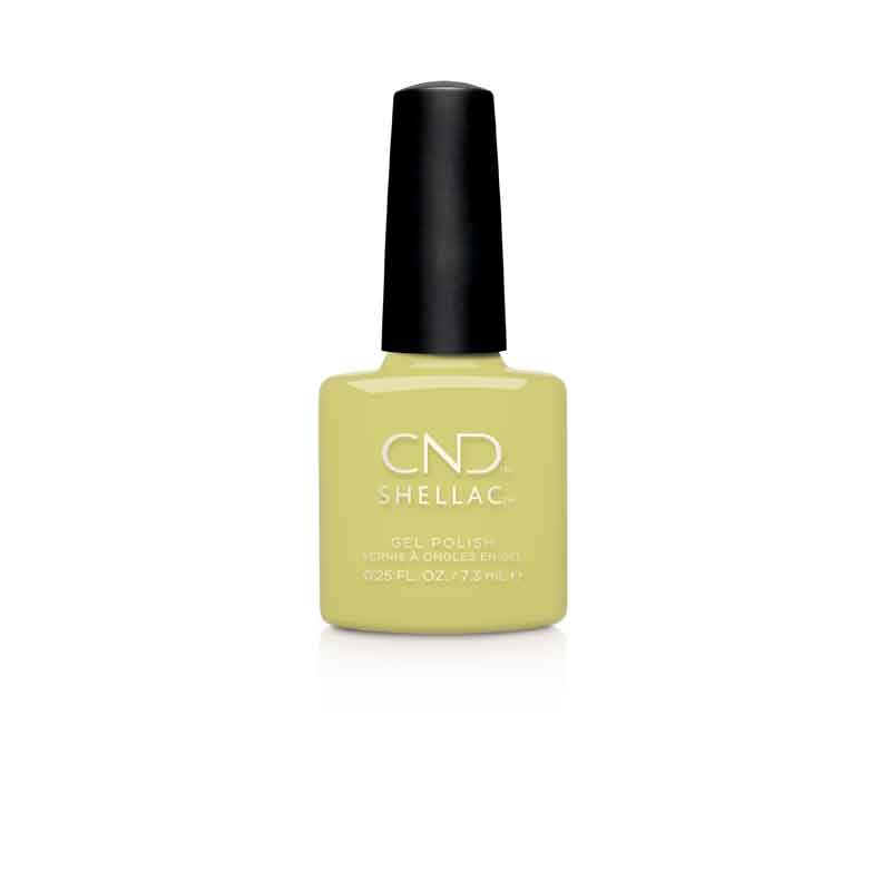 428785_CND-SH-MIND-OVER-MATCHA