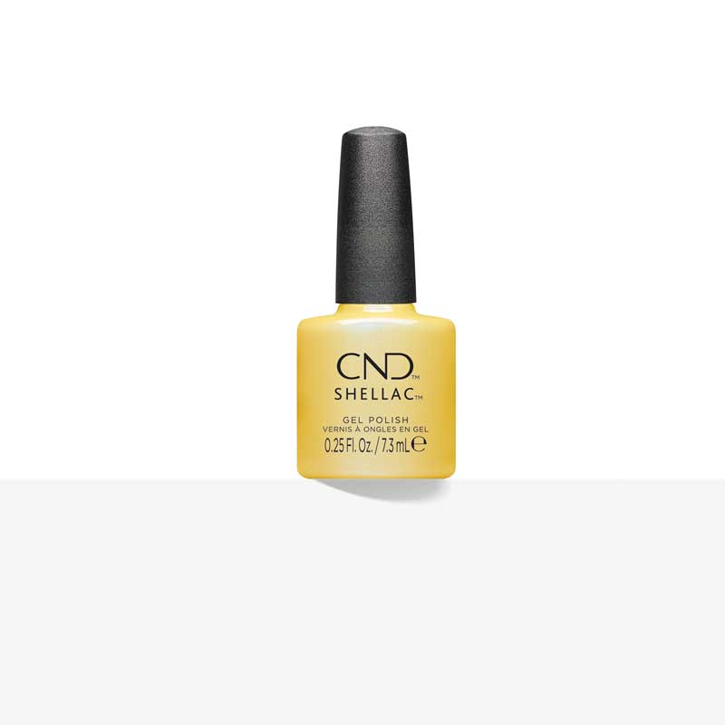 443965_CND_CHARTRUTH_SHELLAC