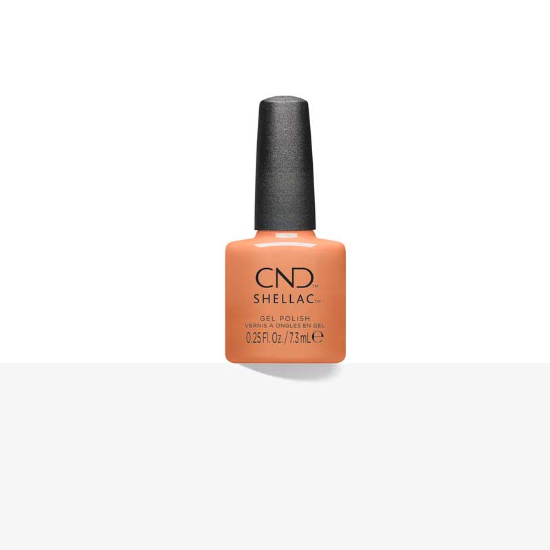 443967_CND_DAYDREAMING_SHELLAC