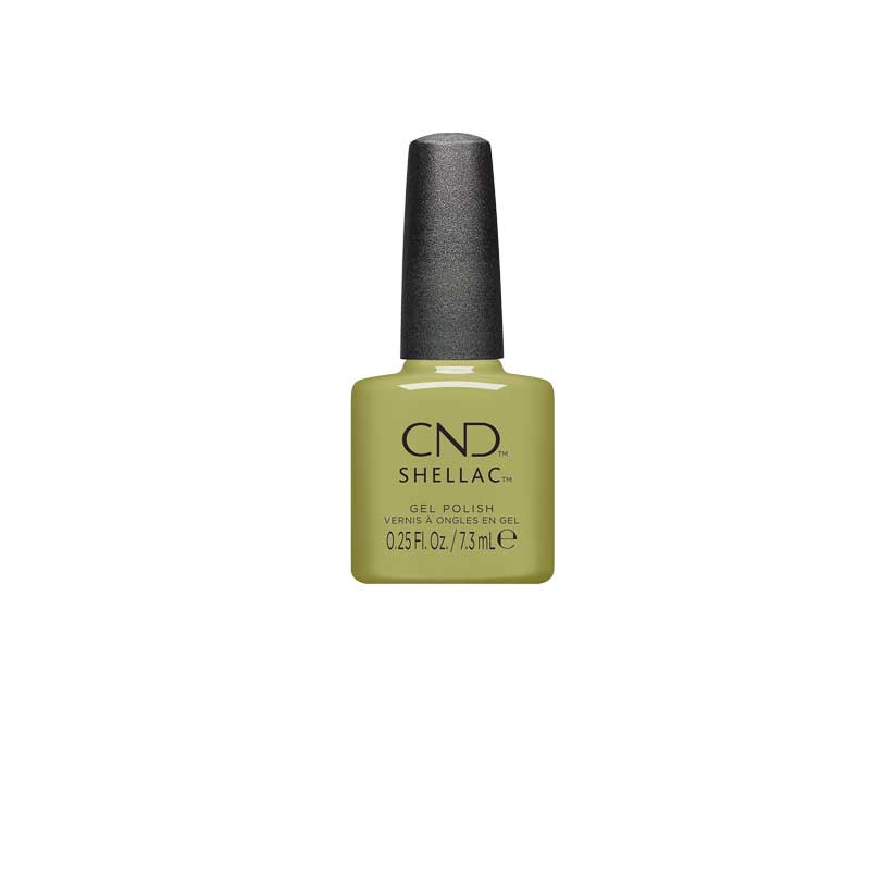 446415_CND_2024_FALL24_DYNAMICDUALITY_ECOMM_SINGLEBOTTLE_PLANTBOUND_SHELLAC