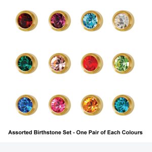 Studex Assorted Birthstones in Bezel Settings(includes 1 pair of each month)
