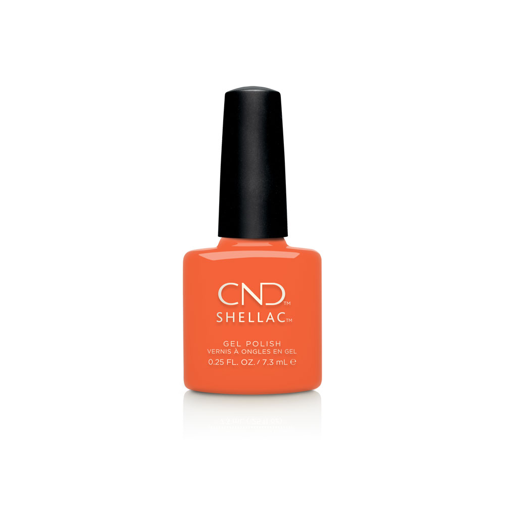 CND_SH_Fall19_DayCandle