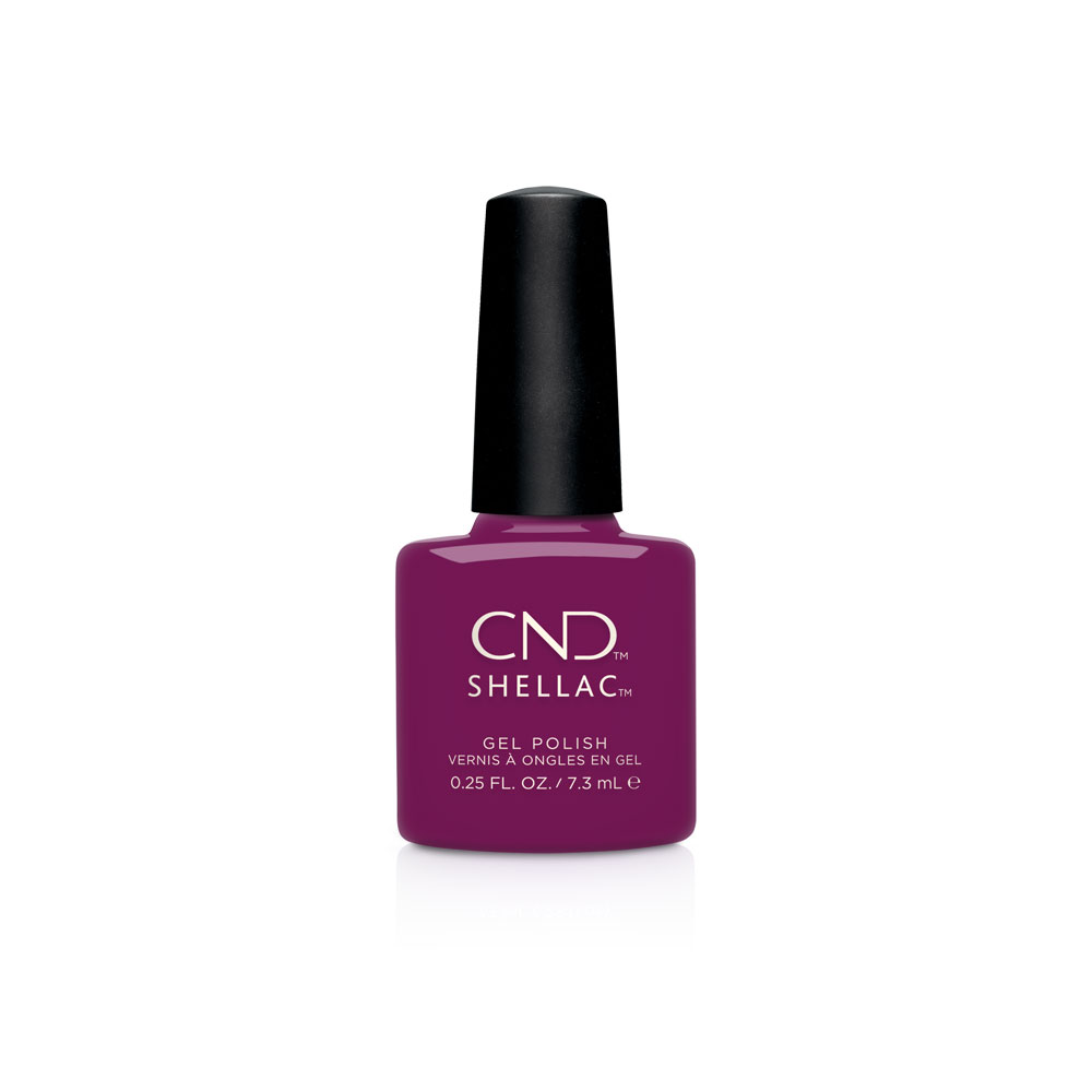 CND_SH_Fall19_SecretDiary