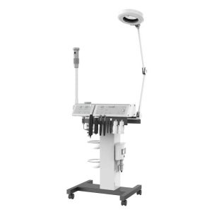 FE-3100 The Multi-Function beauty Instrument
