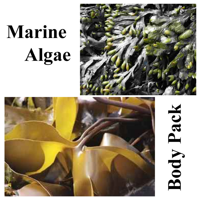 Marine-Algae-Bodypack