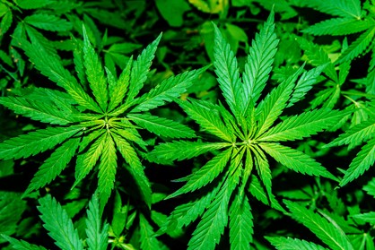 Picture9