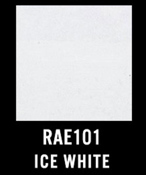 RAE101