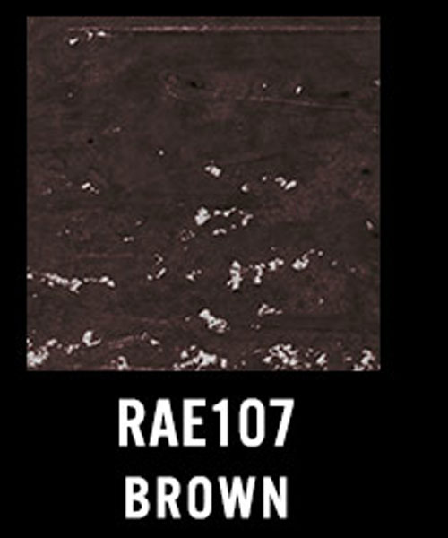 rae_107