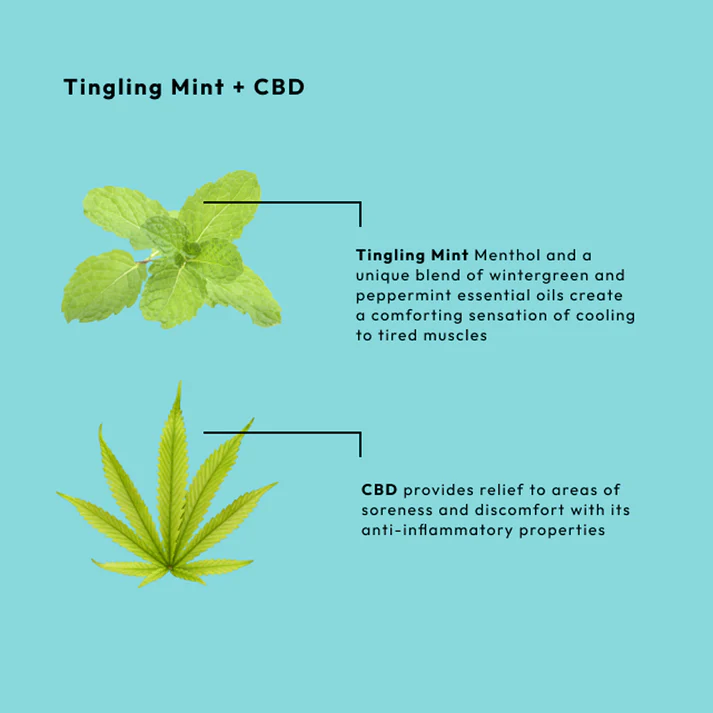 tingling-mint-cbd-massage-cream